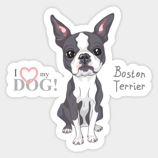 Boston Terrier Sticker